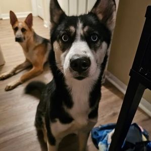 Meet your Posher, Erica